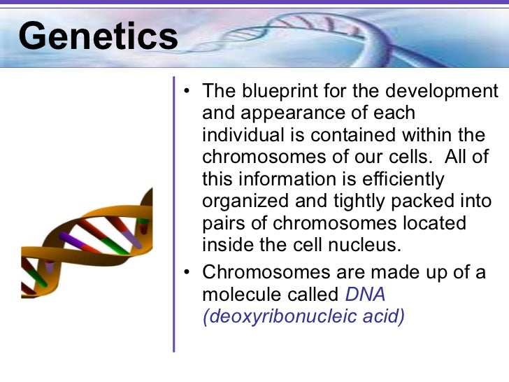 genetics notes high school genetics notes pdf